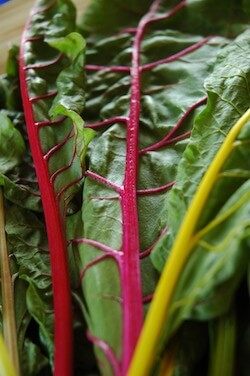 swiss chard