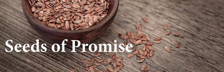 Seeds of Promise