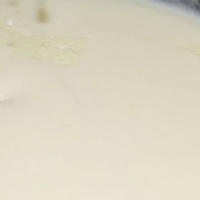 White Sauce